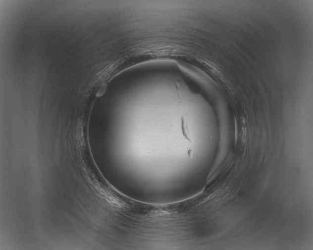 X0000054420453200507291253