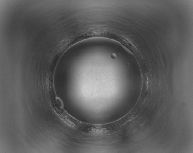 X0000054420455200507291253