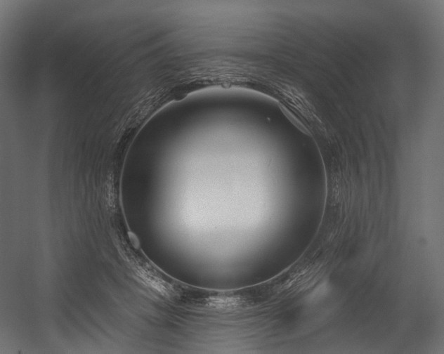 X0000054420457200507291253