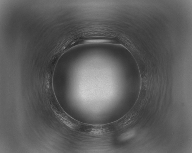 X0000054420458200507291253