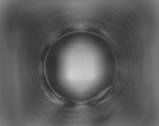 X0000054420459200507291253