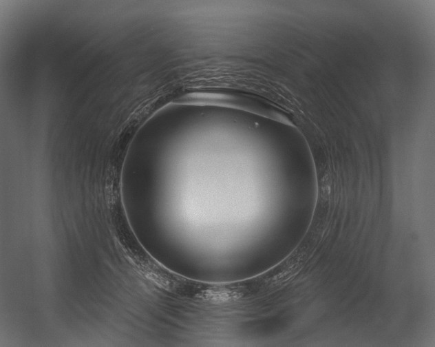 X0000054420464200507291253