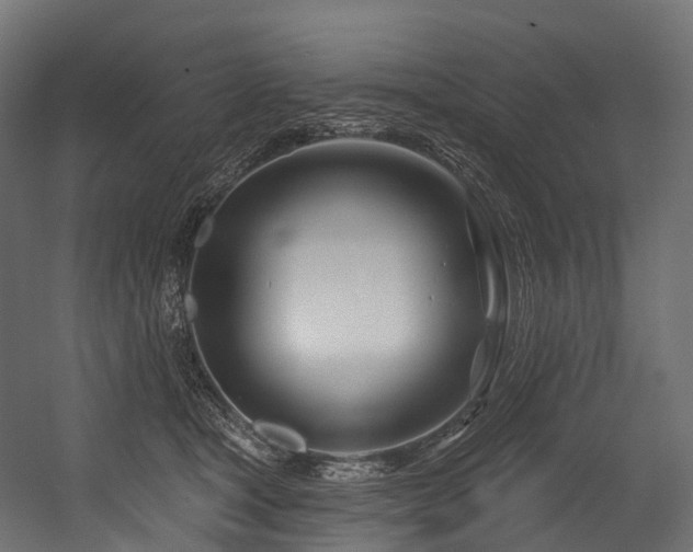 X0000054420465200507291253