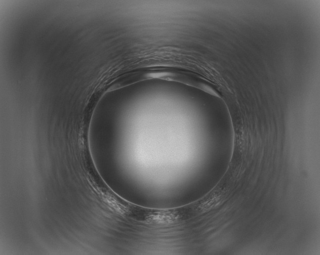 X0000054420466200507291253