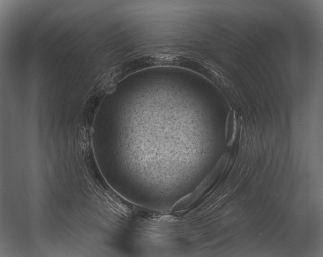 X0000054420467200507291253