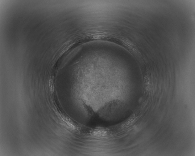 X0000054420471200507291254