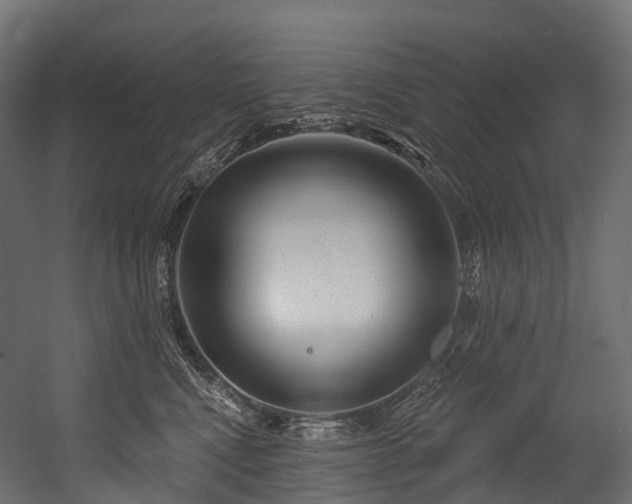 X0000054420472200507291254