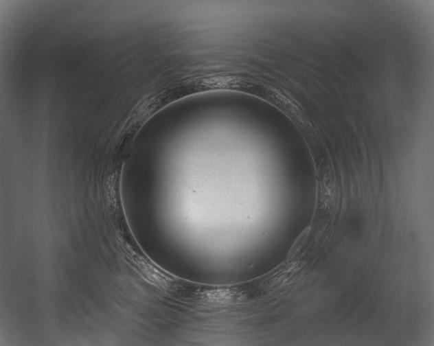 X0000054420473200507291254