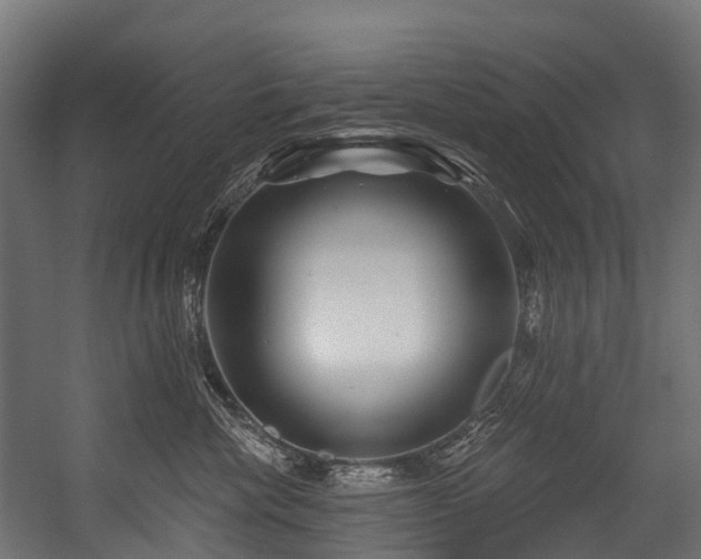 X0000054420476200507291254