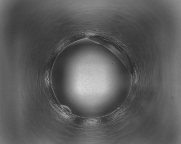 X0000054420479200507291254