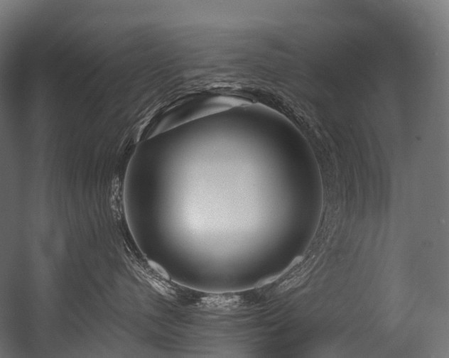 X0000054420480200507291254