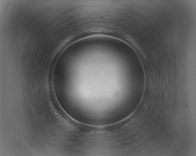 X0000054420482200507291253