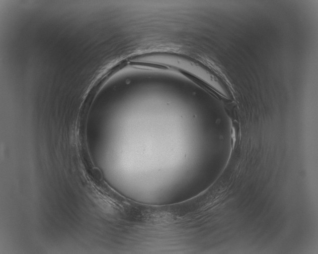 X0000054420483200507291253