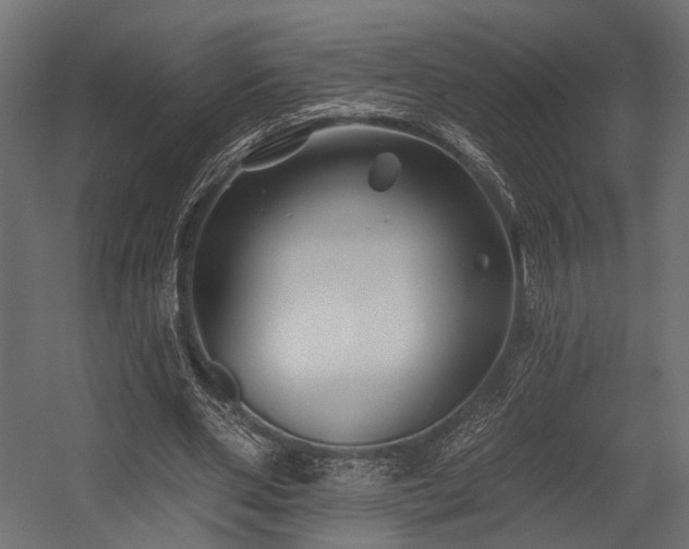 X0000054420486200507291253