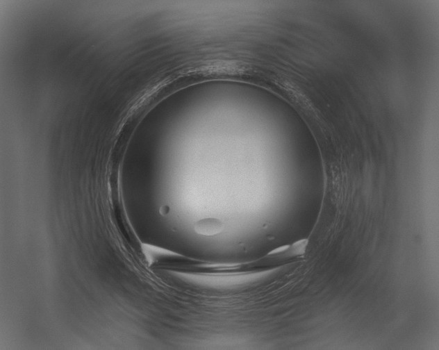 X0000054420487200507291253