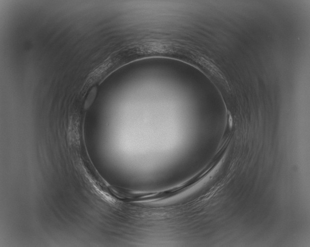 X0000054420489200507291253