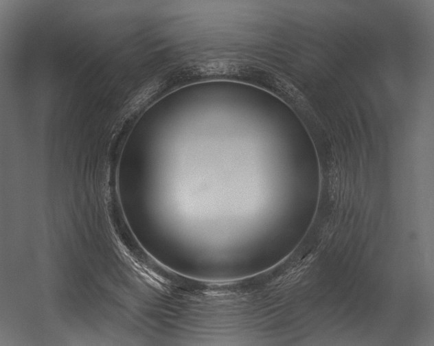 X0000054420490200507291253