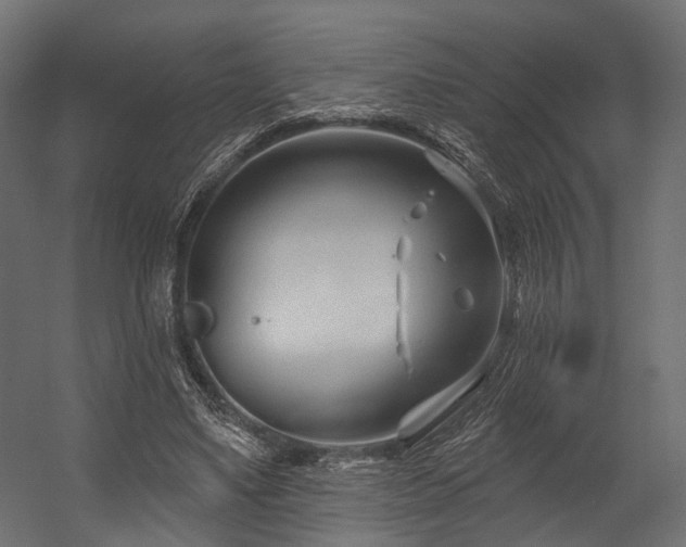 X0000054420491200507291253