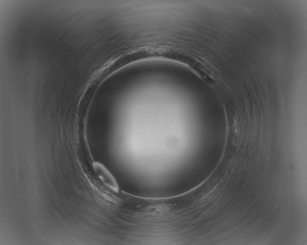 X0000054420492200507291253