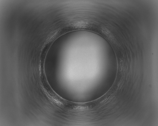 X0000054420494200507291253