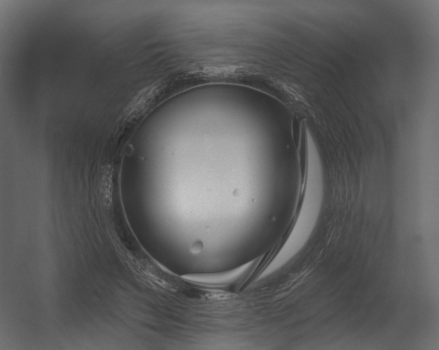 X0000054420495200507291253