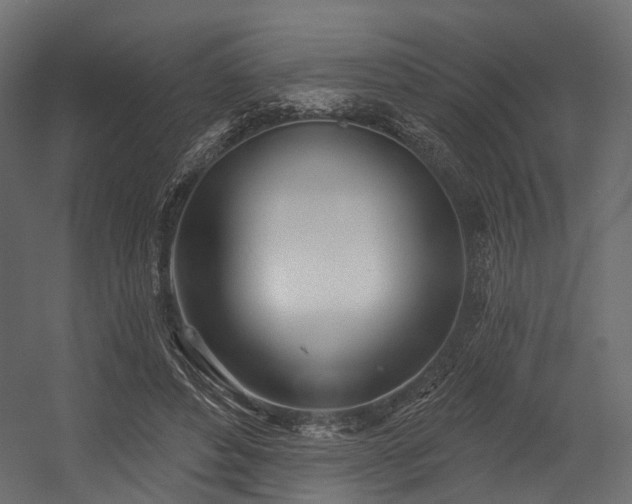 X0000054420496200507291253