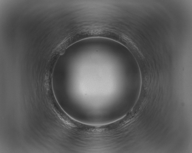 X0000054420497200507291253