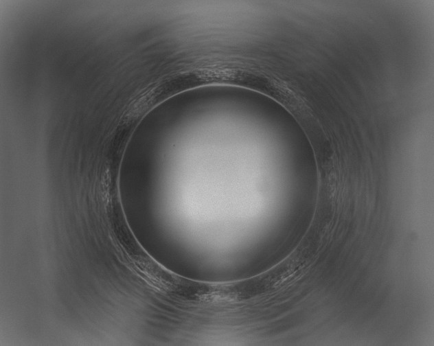 X0000054420498200507291253