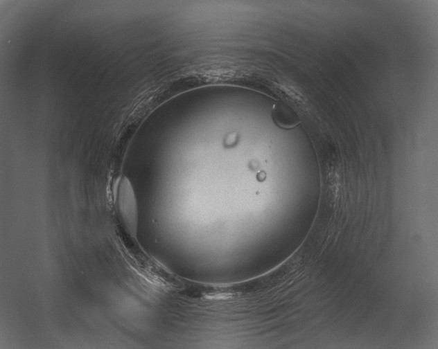 X0000054420499200507291253