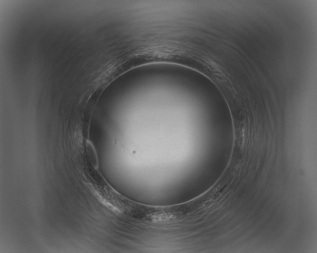 X0000054420500200507291253