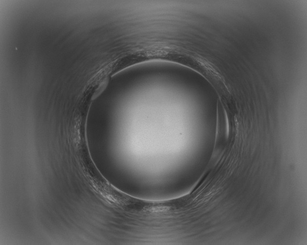 X0000054420501200507291253