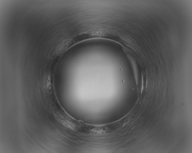 X0000054420502200507291253