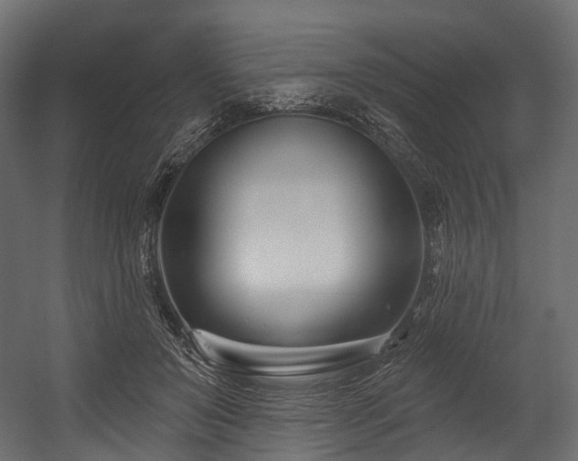 X0000054420503200507291253