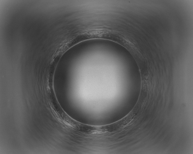 X0000054420504200507291253