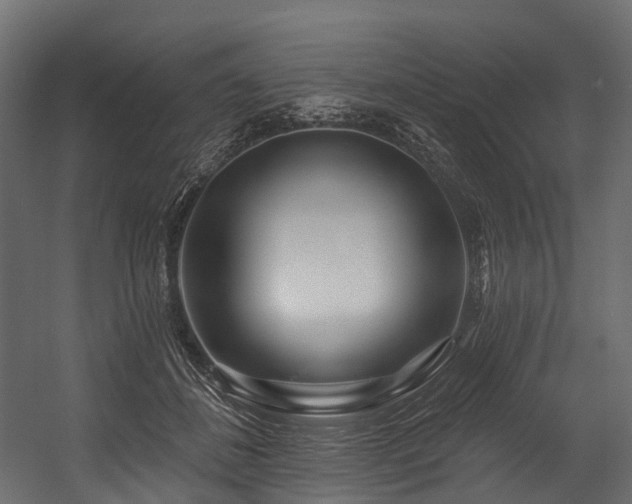 X0000054420508200507291252