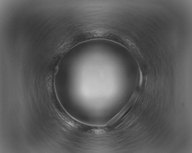 X0000054420509200507291252