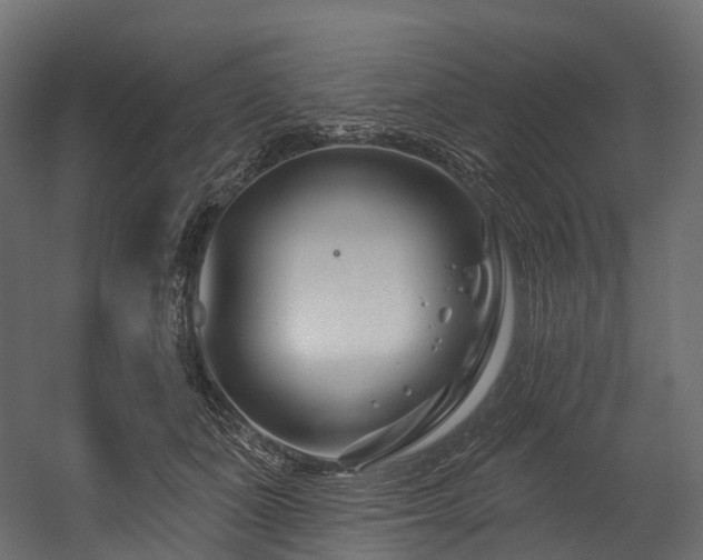 X0000054420511200507291252