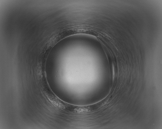 X0000054420512200507291252