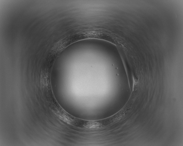 X0000054420514200507291252