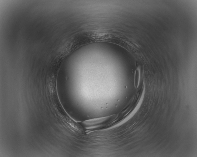 X0000054420515200507291252