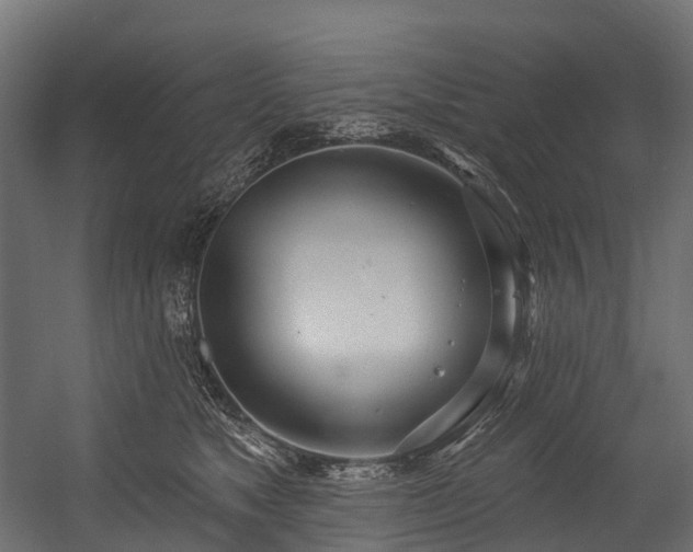 X0000054420517200507291252