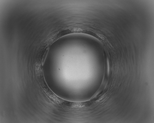 X0000054420521200507291252