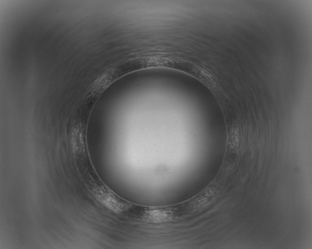 X0000054420522200507291252