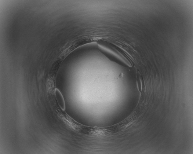 X0000054420523200507291252