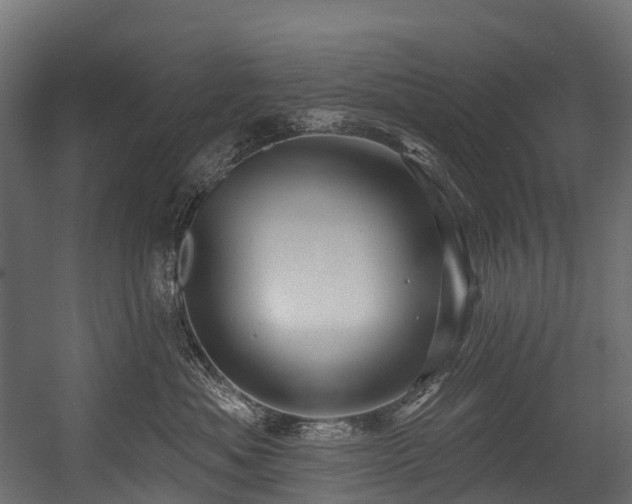 X0000054420525200507291252