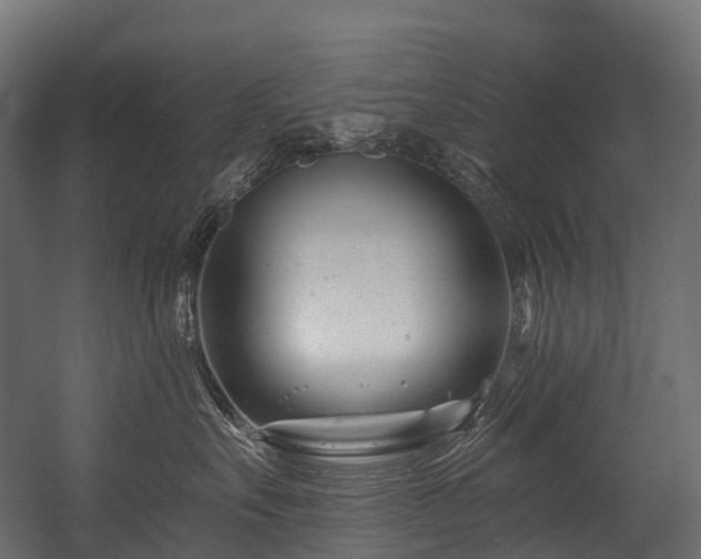 X0000054420527200507291252