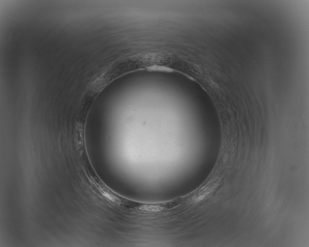 X0000054420528200507291252