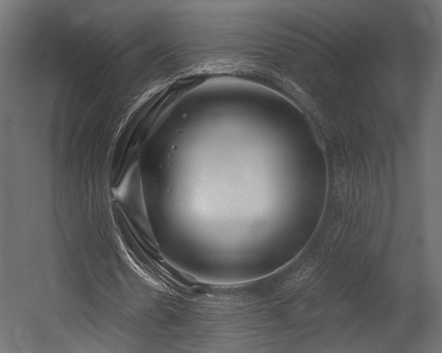 X0000054420530200507291251