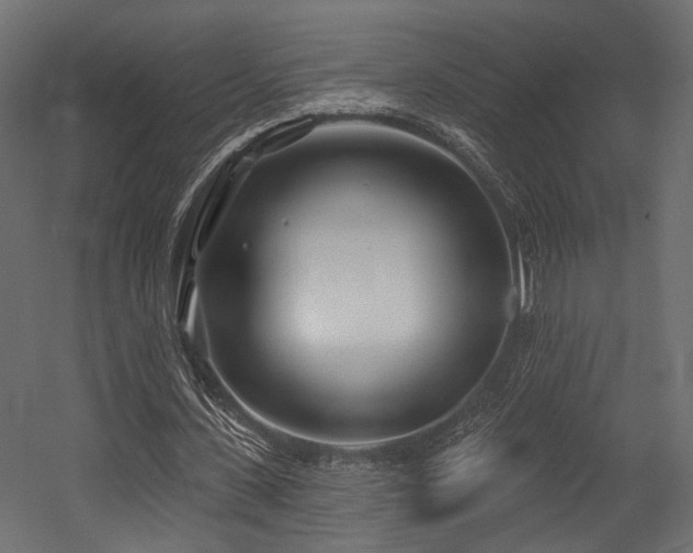 X0000054420531200507291251