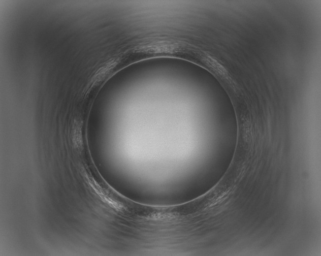 X0000054420537200507291251